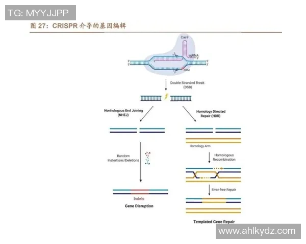 广州网球队实力解析：新星崛起与未来发展潜力探讨